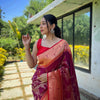 Paithani Silk Saree with 3D Zari Design & Rich Pallu